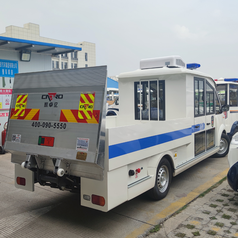 11-seater electric sightseeing car