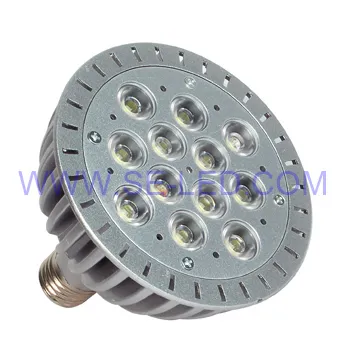 Dimmable 12x1W Aluminum LED PAR38