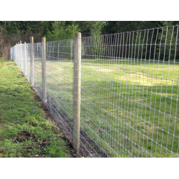 Field Livestock Wire Grassland Fence