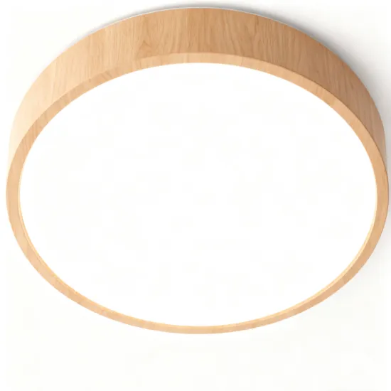 Stylish LED Ceiling Light for Interiors