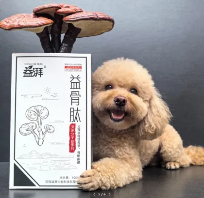 Pet Orthopedic Rehabilitation Nutrition