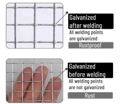 hot sale iron wire mesh welded wire mesh