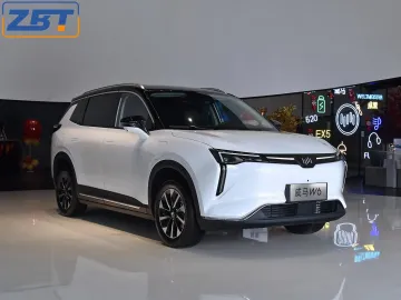 Vector d'énergie verte nouveau WM W6 Luxury Smart Private Electric Motor Car 4x2 2WD EV SUV avec LED