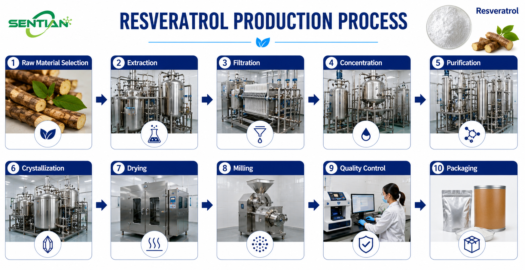 Resveratrol1
