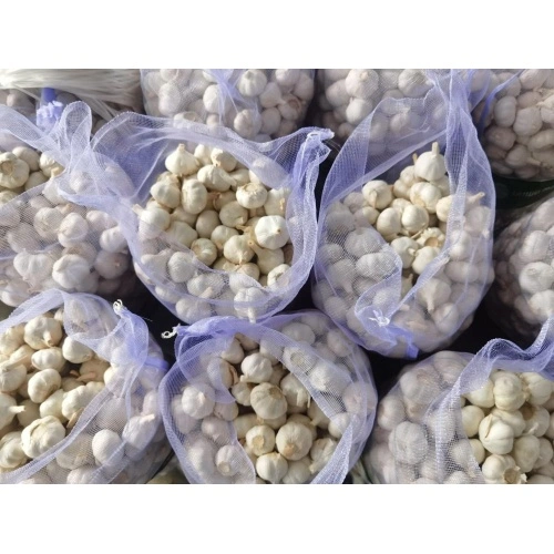 Garlic Price Hike: સૂકા લસણના ભાવે ઐતિહાસિક સપાટી કુદાવી, 300થી 400 રુપિયા  પ્રતિ કિલો
