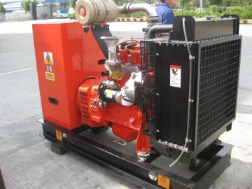 Air Cooled Diesel Generator Gas Backup Generator Industrial Diesel Engine