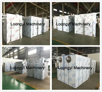 Loongflyi carrot lemon iron dryer