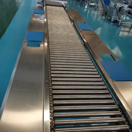 Plantain Chips Processing Machine: Banana Chips Production Line and Plantain Frying Machine