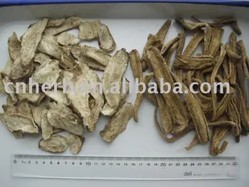 inulin root