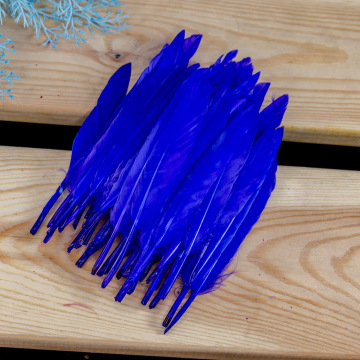 Ideas for feather craft