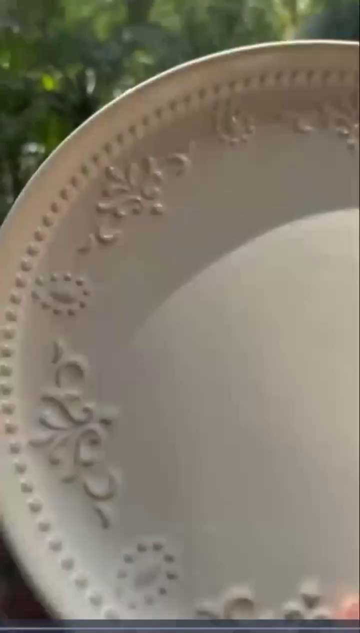 Classic European Dinner Plate for Fine Meals