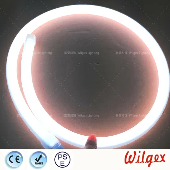 Flex Lighting LED ribbon rope lighting