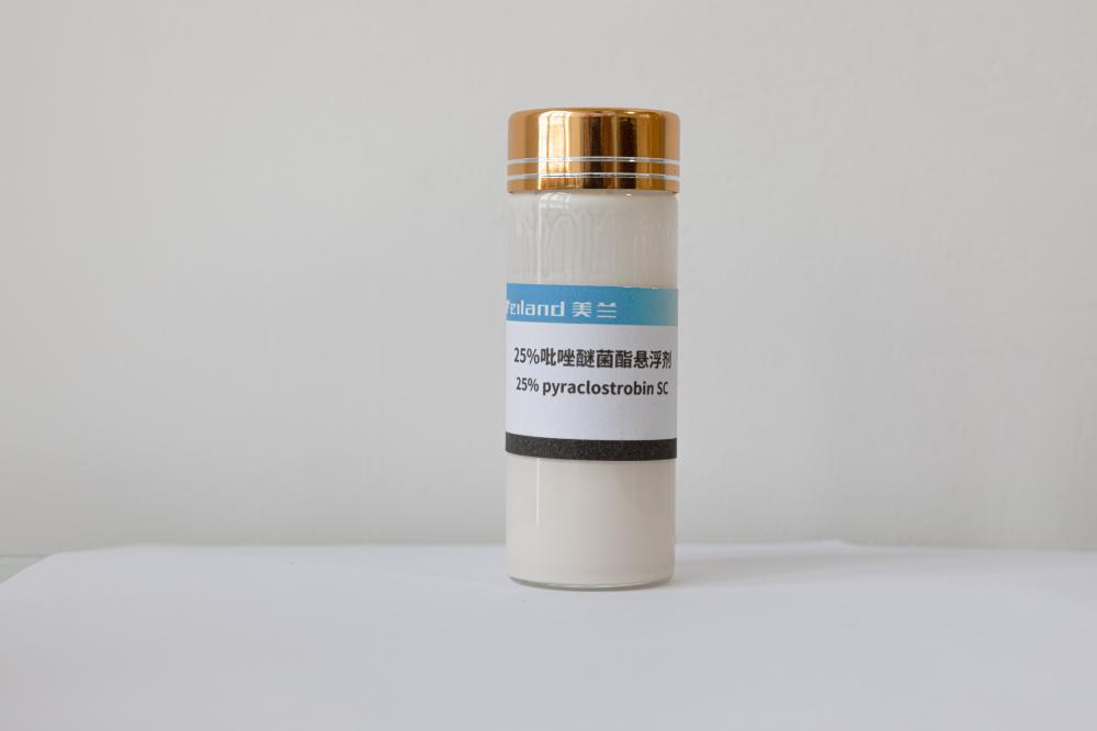 250G/L Pyraclostrobin suspension concentrate