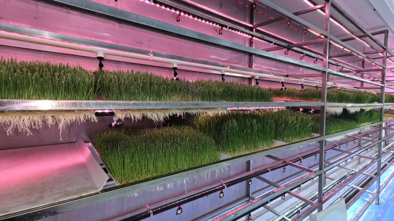 نوع العلف المائي القياسي YD40JBM-B01-TK