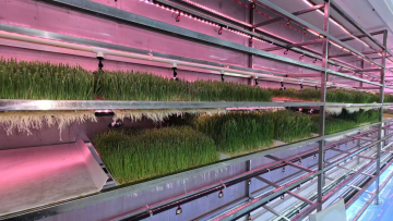 Standard hydroponic forage type YD40JBM-B01-TK