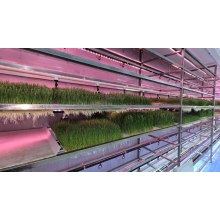 Fourrage hydroponique standard type YD40JBM-B01-TK