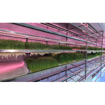 نوع العلف المائي القياسي YD40JBM-B01-TK