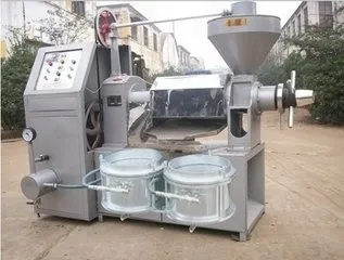 Screw Type Palm Kernel Oil Press Machine Argan Oil Mill Mustard Oil Machinery