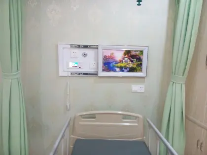 Ward Mural Bed head board System with Terminal