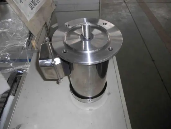 IEC63 Stainless Steel AISI 304 AC Induction Motors