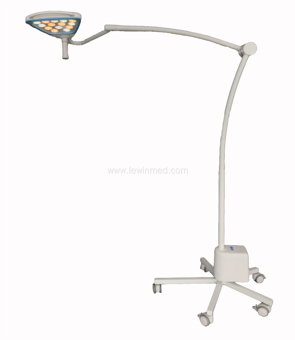 Portable beauty examination lamp