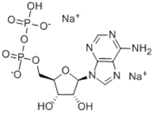 Adenosine-5'-diphosphate disodium salt CAS 16178-48-6