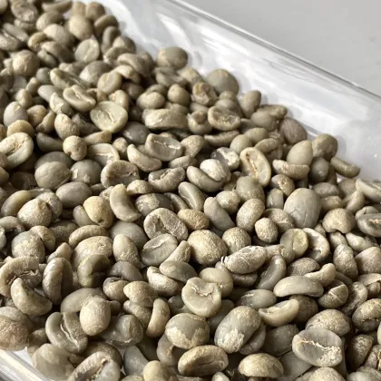 Yunnan Caturra Coffee Beans