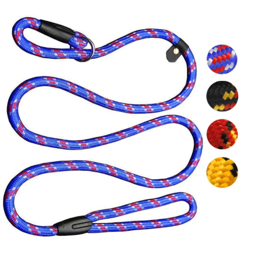 5 Ft Latihan Latihan Leash