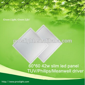 New product 42w LED Panel Light,IP44 led light panel,high power 60*60 led panel light