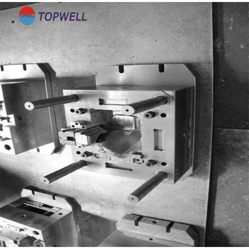 Plastic Double Injection Mold