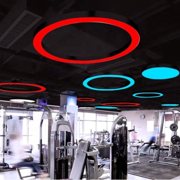 Circle LED Linear Lights: 600mm 800mm RGB Round LED Hanging Lamp for Gyms and Shopping Malls