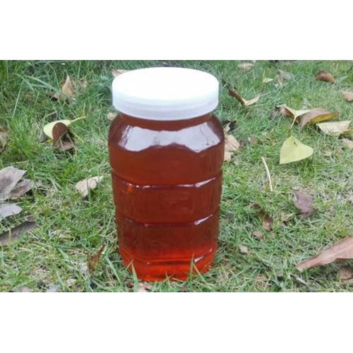 Low Price Exporting Bulk Little Fennel Honey