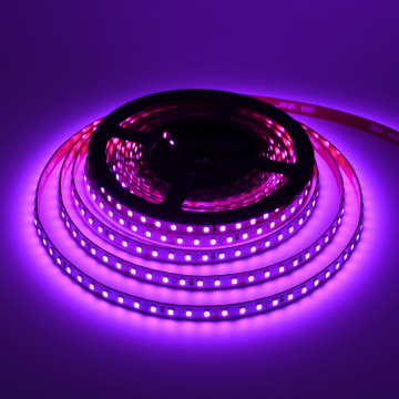 3-Year Warranty CE ROHS FCC Certified LED Strip Light: 3000K, 4000K, 6000K; 2835, 2700K, 24V, 60 LED; 12V SMD and RGB Lights