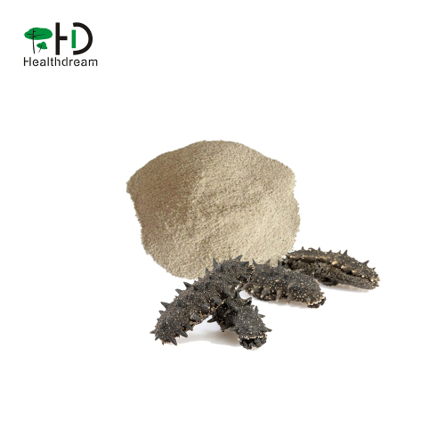 Factory supply sea cucumber Extract powder