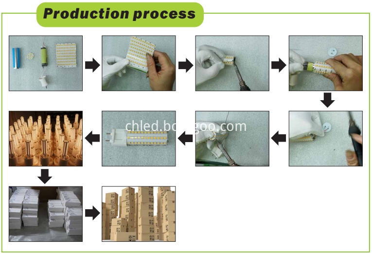 Processing of G12 bulbs