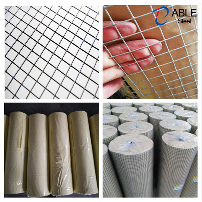 Hot Dipped Galvanized Iron Welded Wire Mesh