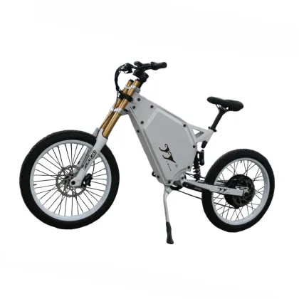 Leili Enduro 5000W Electric Bike with Brushless Hi-Speed Motor