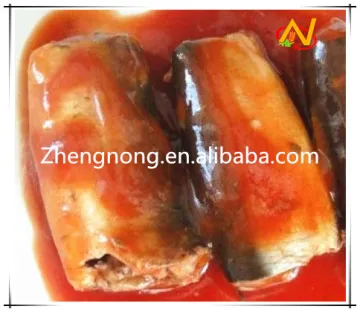 Canned Fish Sardine in Tomato Sauce for Sale 155g