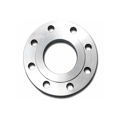 High Quality High Performance Titanium Integral Flange