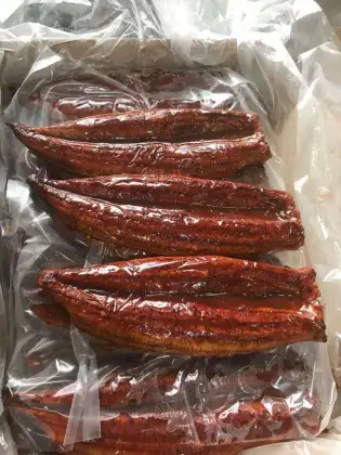 FROZEN ROASTED EEL