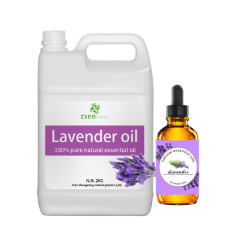 Bulk minyak lavender organik murni murni