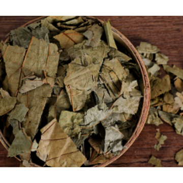 Microcos Paniculata Extract Facotry Supplier