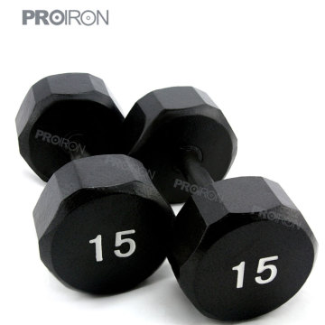 15LB Panited Dumbbells, dumbbells