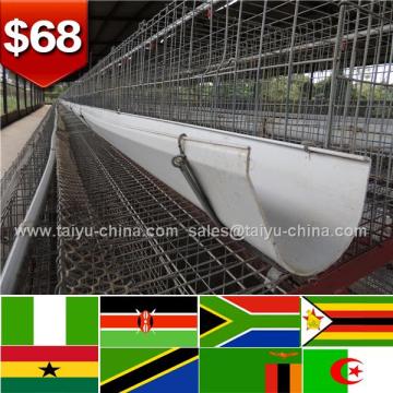 Design 20000 chicken automatic poultry equipment chicken cages plans for poultry farming