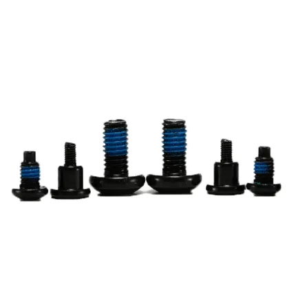 Stainless Steel Phillips Head Nylok Screw for Hidden Camera