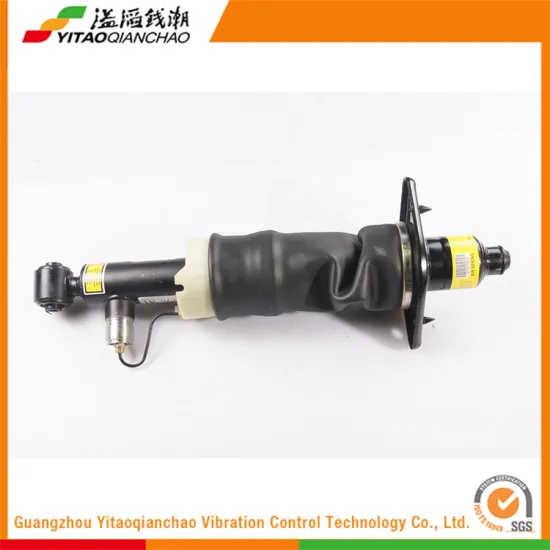 Alibaba Express In Auto Parts Custom Truck Absorber