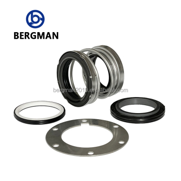 High-Quality EBARA WQ Submersible Pump Mechanical Seal for ED 560DE-45/50 Facing Size