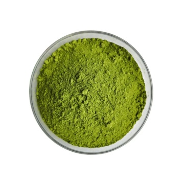Succo di erba di orzo verde di grano verde alimentare in polvere