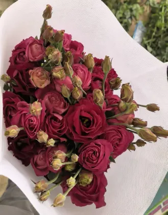 Fresh Cut Flower Burgundy Lisianthus Wholesale for Bouquet