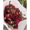 তোড়া জন্য টাটকা কাটা ফুল Burgundy Lisianthus পাইকারি